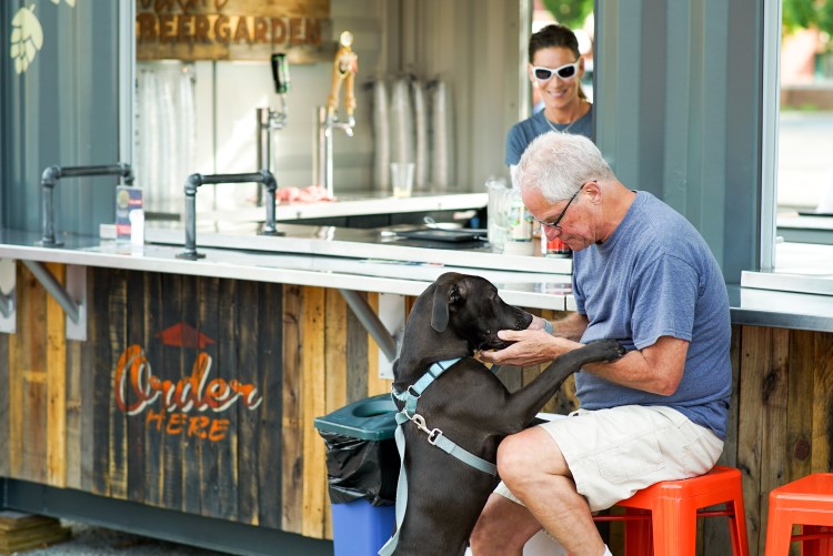 A dog and its owner wait for a beer at Larkin Beer Garden