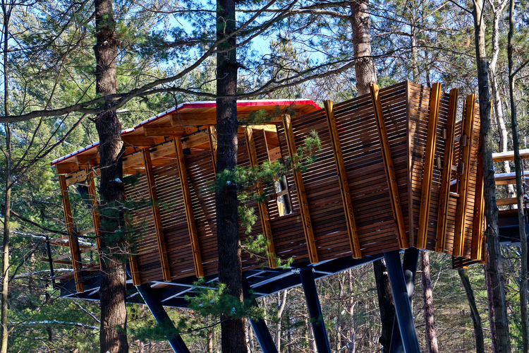 Visitors can see the pond at Whiting Forest from this new accessible overlook.
