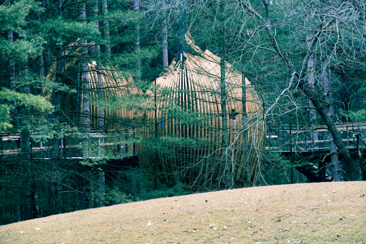 The pods at Whiting Forest are surrounded the pond.