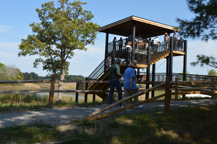 Wetlands overlook at Chippewa Nature Center.