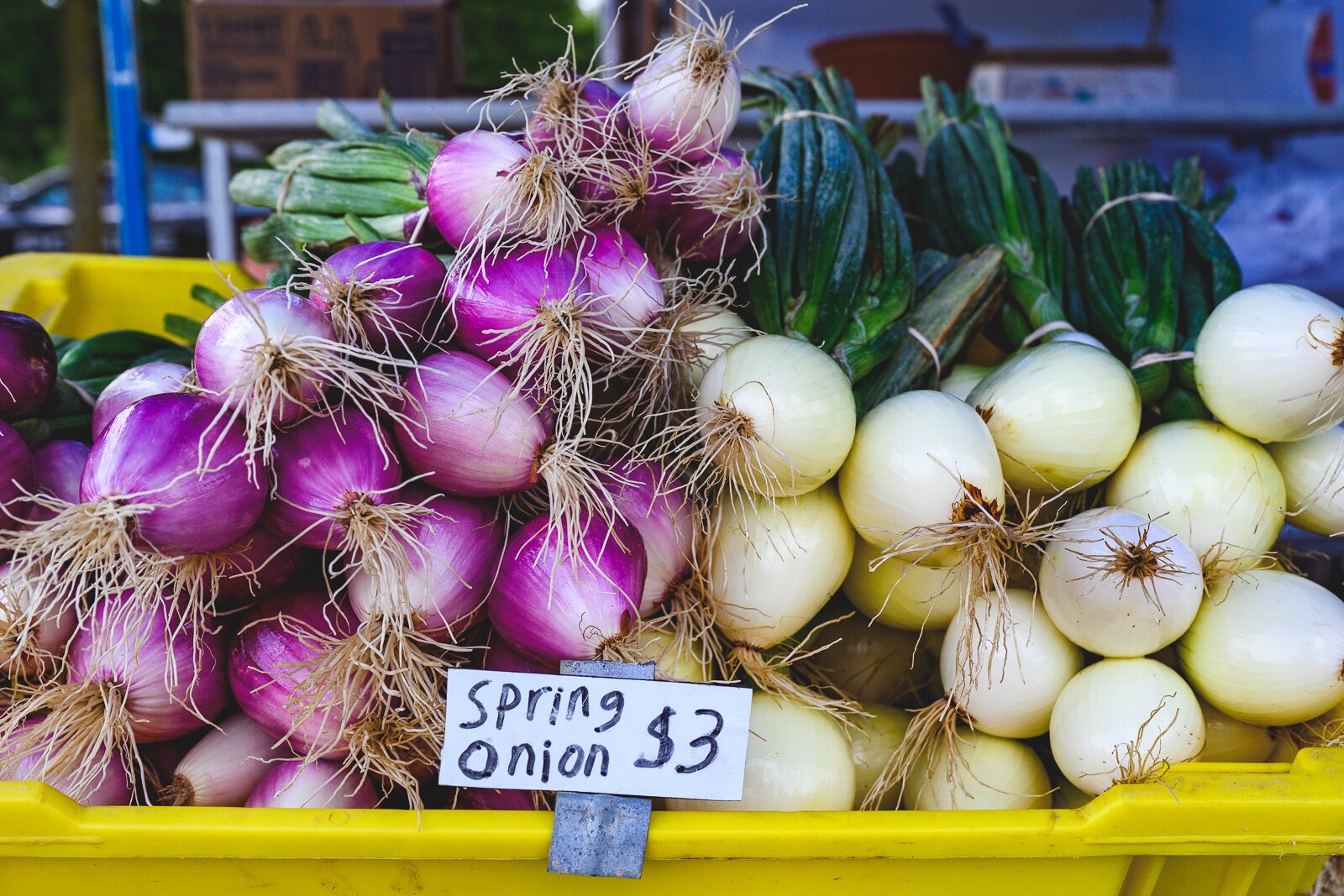 Produce at the Pittsfield Township Farmers Market, where Washtenaw County offers the Prescription for Health program.