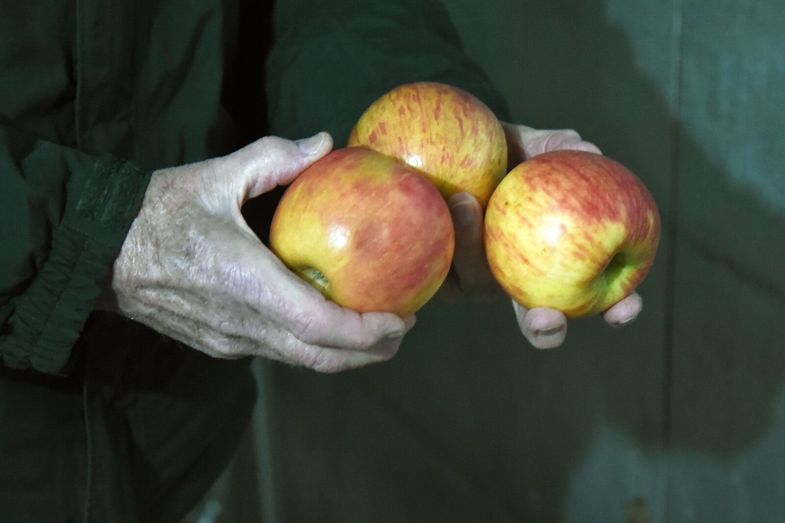 Jim Bardenhagen holds apples grown on his farm.