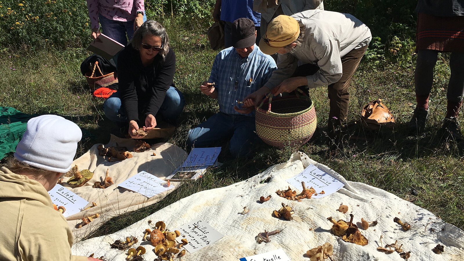 A DIGs workshop on mushrooms.