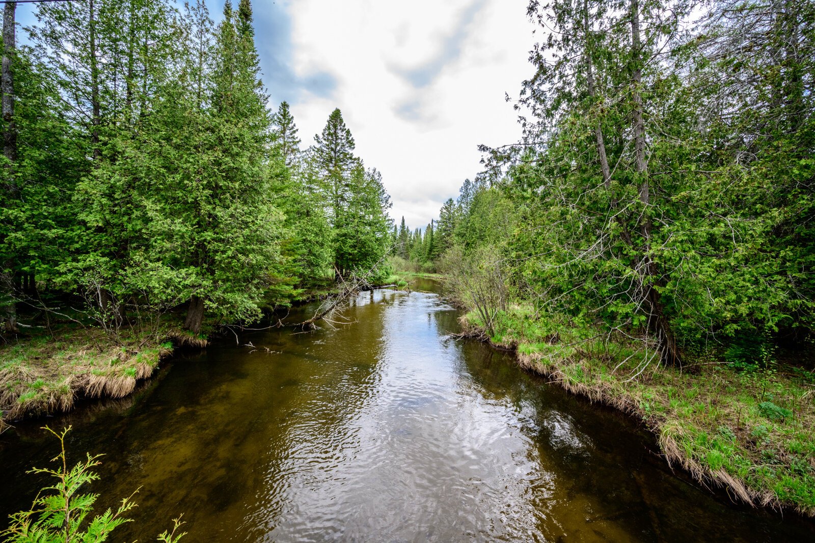 Sturgeon River