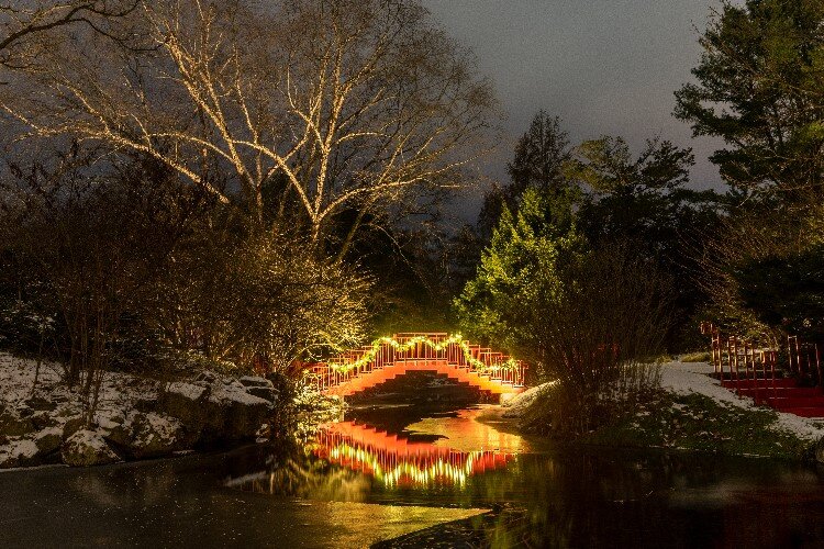 Dow Gardens is a perfect place to get out from under the covers and stretch your legs this winter.