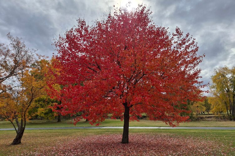 There's no better place to spend a day enjoying fall colors than right in your own backyard. 