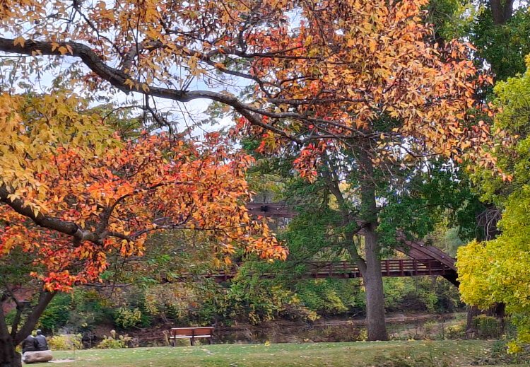 No walk downtown would be complete without visiting the Tridge. Venture down to the river and enjoy the warm temps and blazing fall colors.