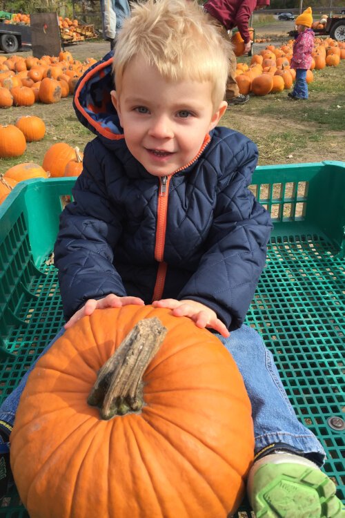 Grandma’s Pumpkin Patch