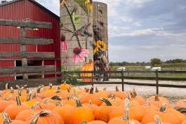 silo with pumpkins