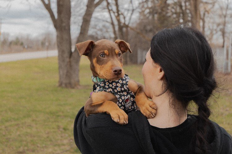 (Photo by Marco Brugnoli)