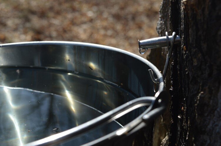 Sap collection at the CNC