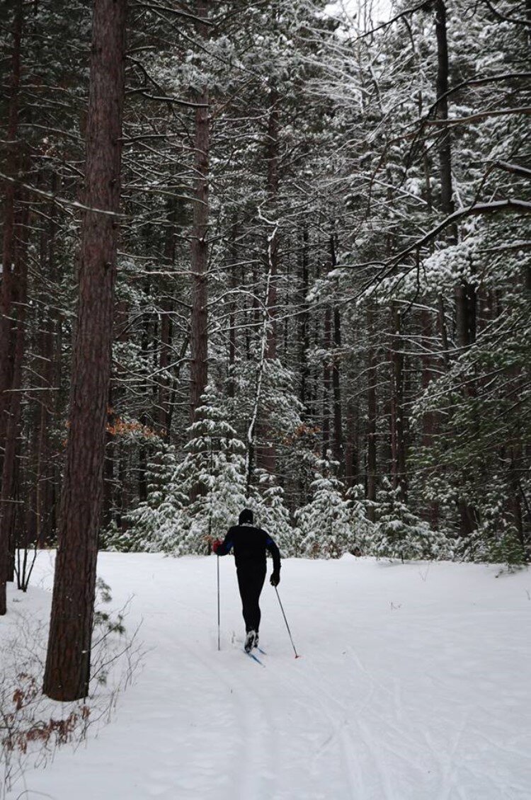 Cross country skiing trails at City Forest.. Skis are available to rent.