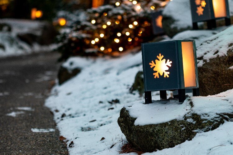 Guests can stroll on the luminary lit paths during the Christmas Walk at Dow Gardens.