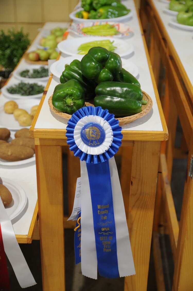 "It’s a great way for the fair public to learn about farm life or rural life."