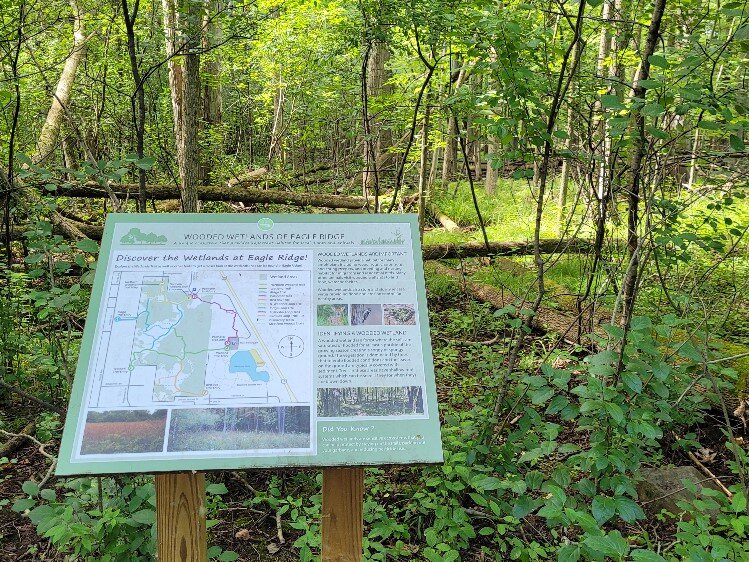 "We want people to absolutely enjoy this."