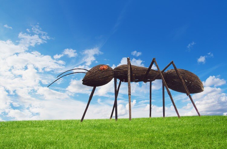 Big Bugs features larger than life sculptures.