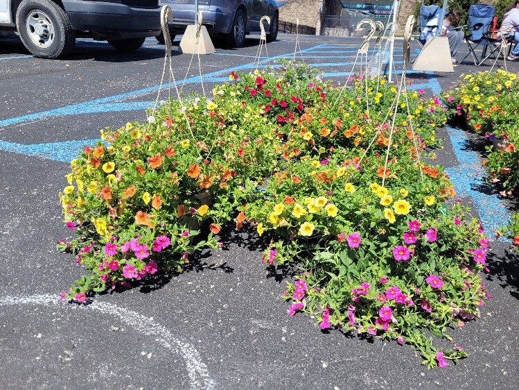 A variety of flowers are sold at the Farmers Market.