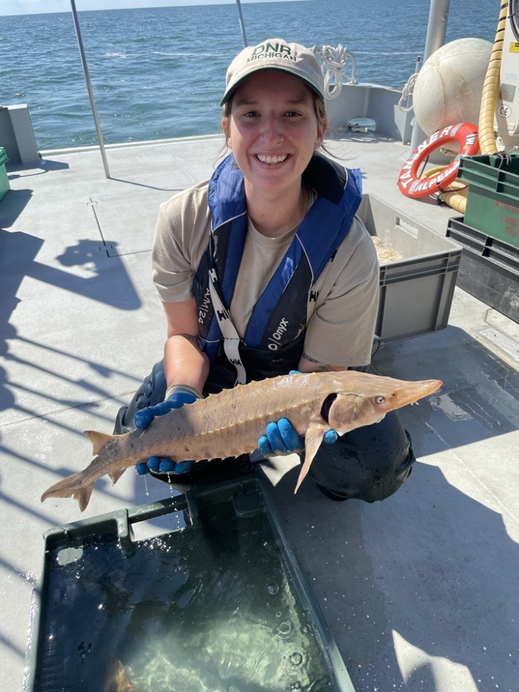 April Simmons, MI DNR Fish Biologist, with a juvenile lake sturgeon.