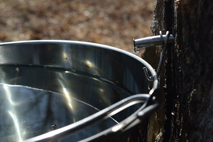 CNC's Visitor Center is open Monday through Saturday from 8 a.m.-5 p.m., and Sunday from noon-5 p.m.