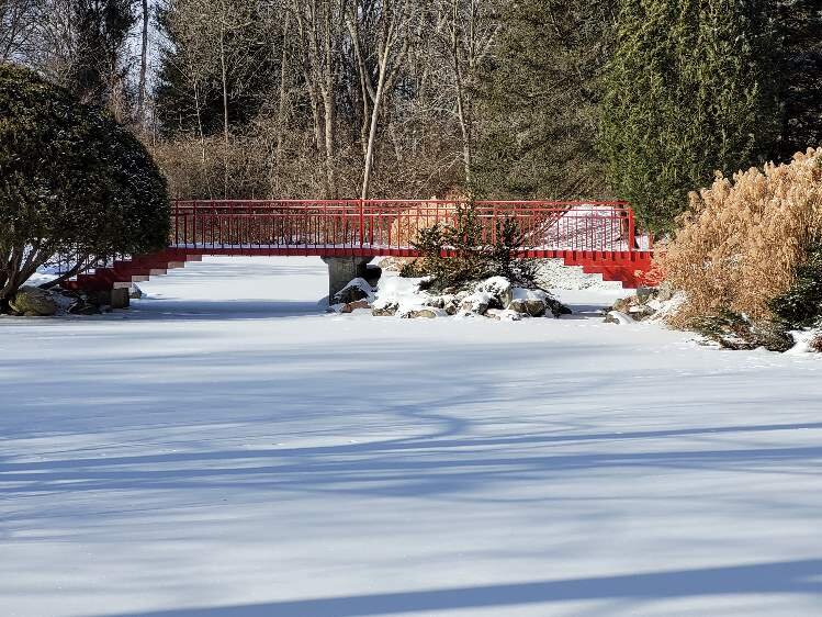 The Herbert H. and Grace A. Dow Foundation's signature gift each year is the Dow Gardens as they share the family estate with the community and its visitors.