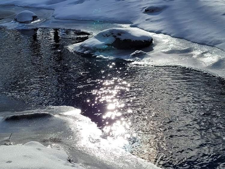 Ecosystems are complex, they have multiple layers. Each individual organism is inter-connected.