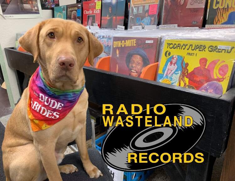 "The Dude" is one of the record store's dogs.