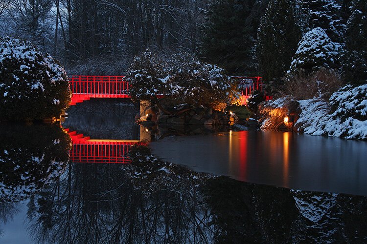 “Each year, this free event is our gift to the community, allowing participants to celebrate this festive season while taking in the winter beauty of the gardens.”