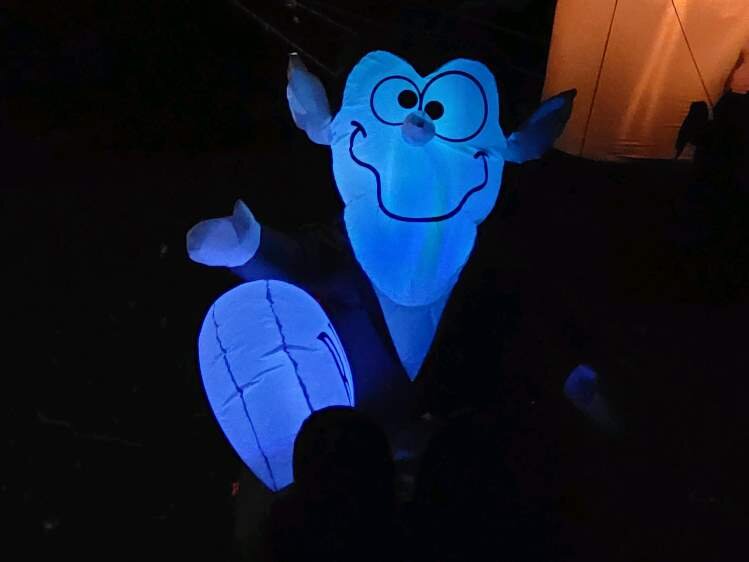 This Halloween, there are plenty of options for both youngsters and adults to enjoy all the spooky season has to offer. 