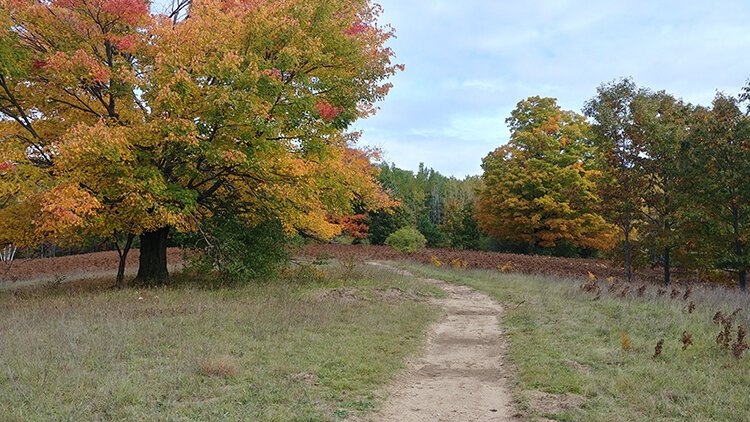 The 270-acre preserve features 2.5 miles of panoramic trails, forestland, grassland, a pond, and the Cedar River