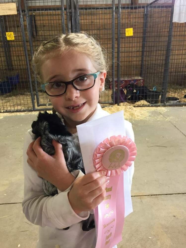 A young girl earns a ribbon at the Midland County Fair.