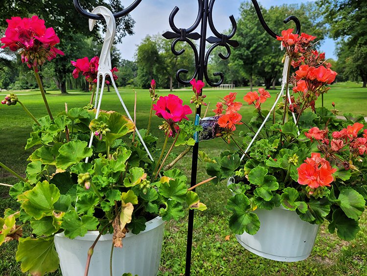Porte Park, located just south of downtown Sanford and the Pere Marquette Rail Trail, is new, acquired just after the 2020 Dam Failure.