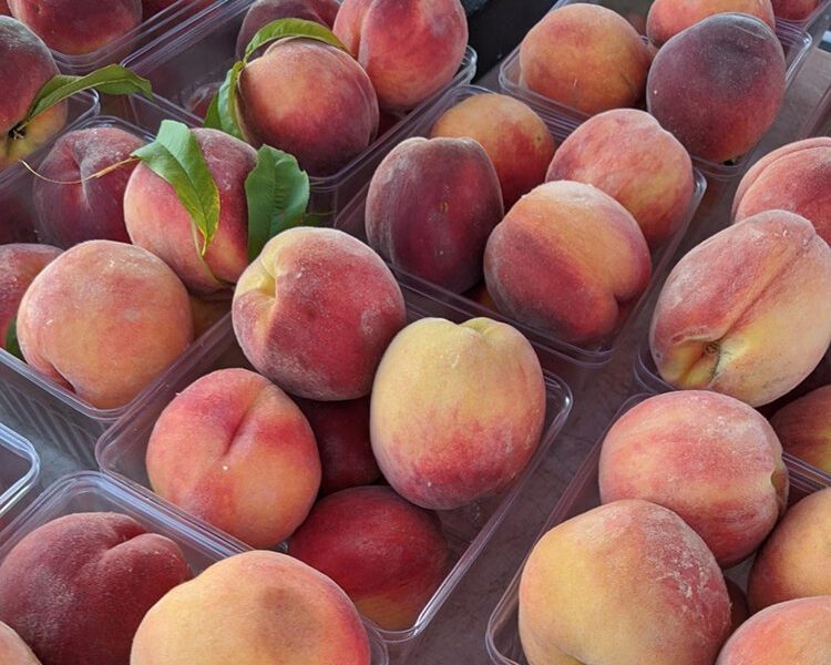 The 2021 Farmers Market season is back on at the Dow Diamond East Parking Lot.