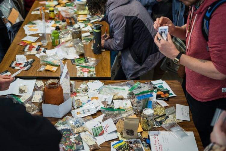 Seed sharing helps keep heirloom varieties going strong in our community and food system.