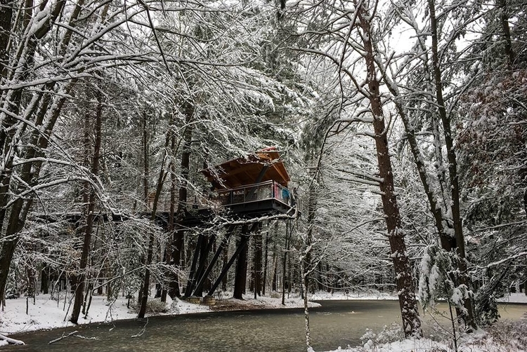 The Whiting Forest Canopy Walk looks picture perfect in winter too.