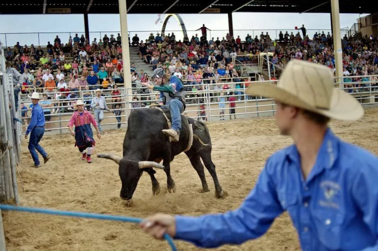 This year is the 87th annual fair.