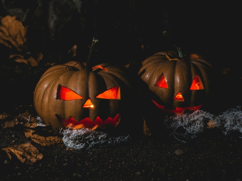 two carved pumpkins