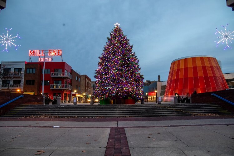 A tall tree filled with multi-color lights stands at the entrance to Wenonah Park.