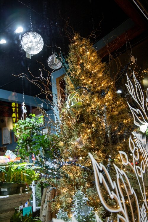 Lights twinkle from the branches of an evergreen tucked into the corner of the window display at Regent Floral.