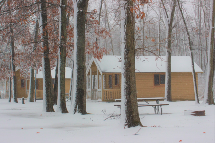 Immerse yourself in a Michigan winter when you stay in a cozy, heated cabin surrounded by trees and within sight of the Saginaw Bay.