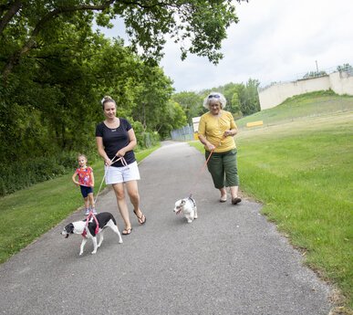 Organizers hope that the dog park eventually will include benches, an obstacle course, and shaded areas, making it attractive to visitors from outside Pinconning.