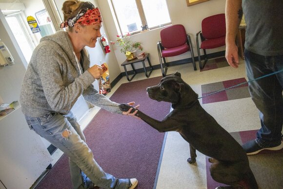Becki Maes, clerk at the Bay County Animal Control and Care Center, encourages a dog to learn a new trick.