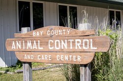 Animal Control Officer Olivia Shields, recently named interim manager of the Bay County Animal Control and Care Center, works closely with Craig Goulet, Director of Administrative Services and Veteran Affairs for Bay County, to make the shelter a bet