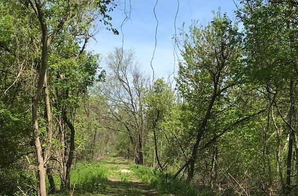 The new section of the Railtrail is ready to be cleared.