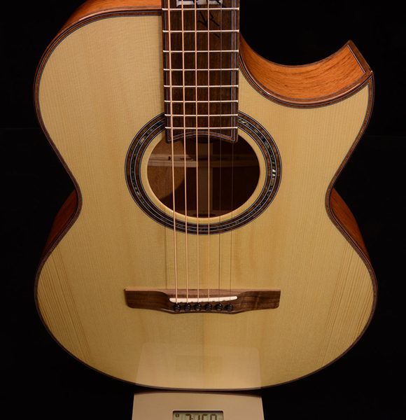 Wise began building guitars after he began looking for one to buy, but decided to make his own.