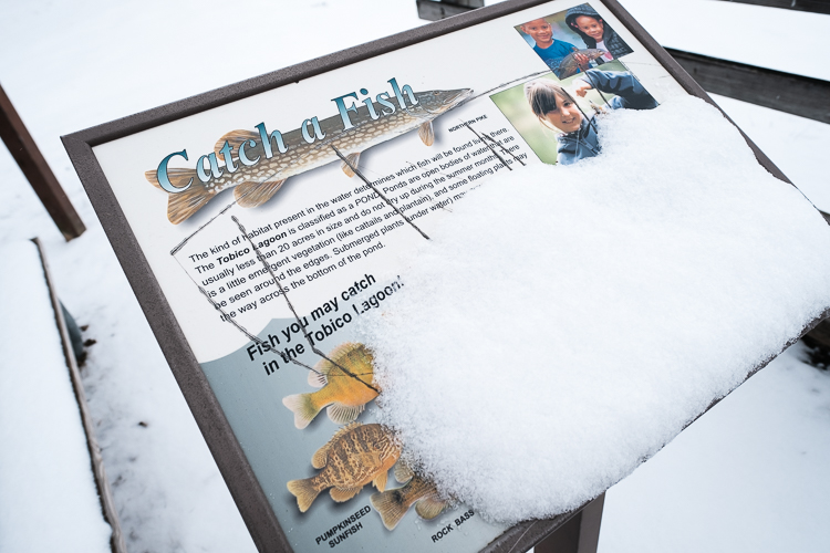 During the Festival, the park provides bait, poles, and pre-drilled holes in the ice for a Family Ice Fishing Derby. 