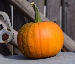 From haunted forests and nature trails to candle-making classes, fall brings a flurry of activity to the area.