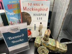 Leopard Print Books is housed within The Vintage Greenhouse at 925 N. Water St. The Banned Book Club meets at coffee shops in Bay City, Midland, and Saginaw. (Photo courtesy of Jennifer Veitengruber)