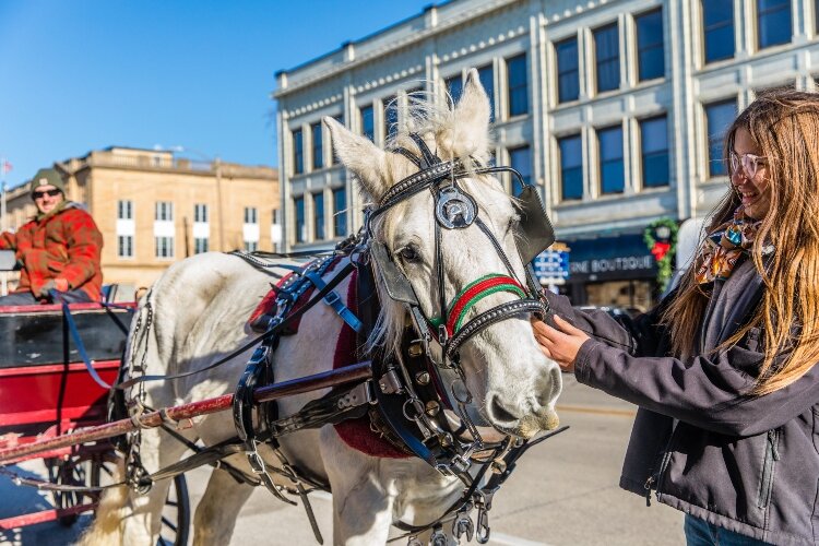 The horses attract the attention of young and old visiting downtown on Sundays.