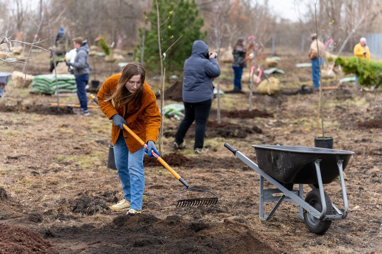 Volunteers planted about 1,000 trees throughout Bay and Saginaw counties this spring as part of an initiative to increase the tree canopy in the area. (Photo courtesy of Zachary Branigan)