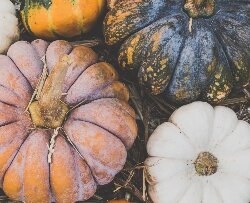 From football games to haunted houses to corn mazes, the Great Lakes Bay Region shines in the fall.